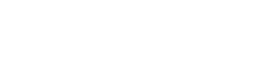 SVP Build Electric Logo White